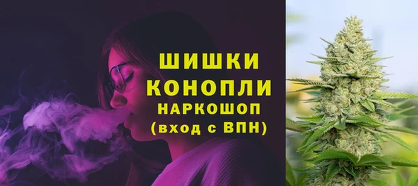 спайс Богданович