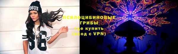 хмурый Богородск