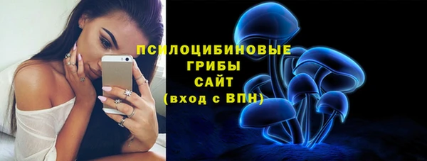 хмурый Богородск