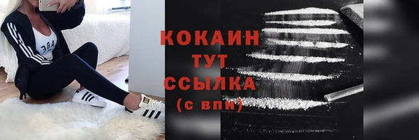спайс Богданович