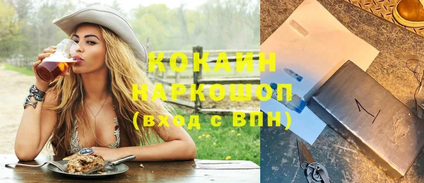спайс Богданович