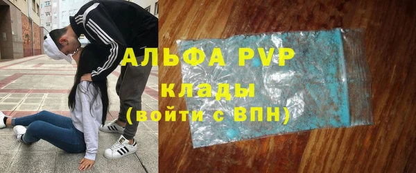 хмурый Богородск