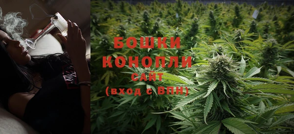 спайс Богданович