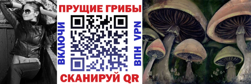 Галлюциногенные грибы ЛСД  блэк спрут как войти  Пестово  сколько стоит 